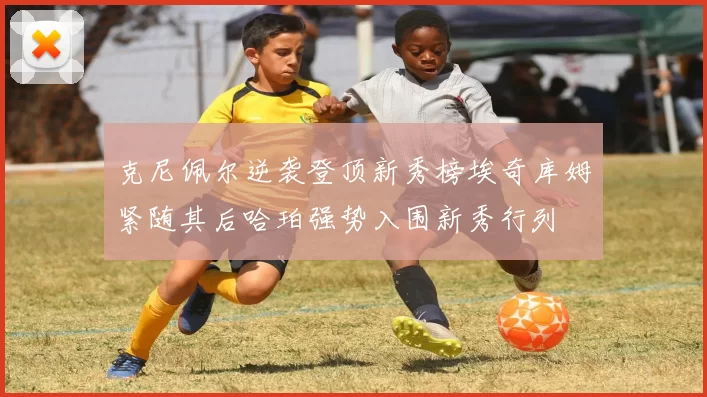 克尼佩尔逆袭登顶新秀榜埃奇库姆紧随其后哈珀强势入围新秀行列