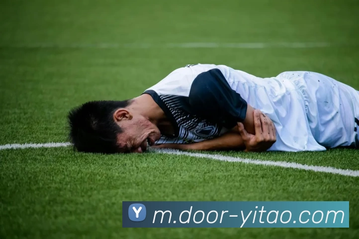 壹葡娛樂平台生态图